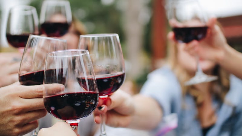 Friends raising their wine glasses
