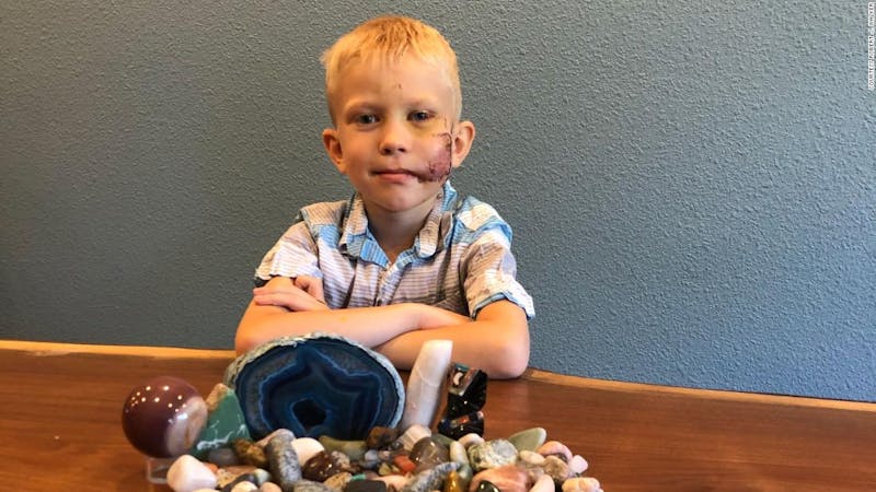 Bridger Walker, the young 6-year-old boy that saved his sister from dog attack
