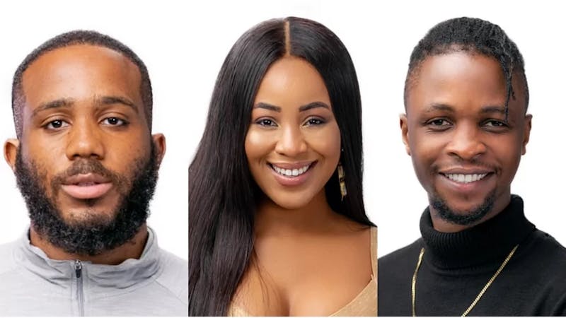 BbNaija housemates, Kiddwaya, Erica and Laycon (the love triangle)