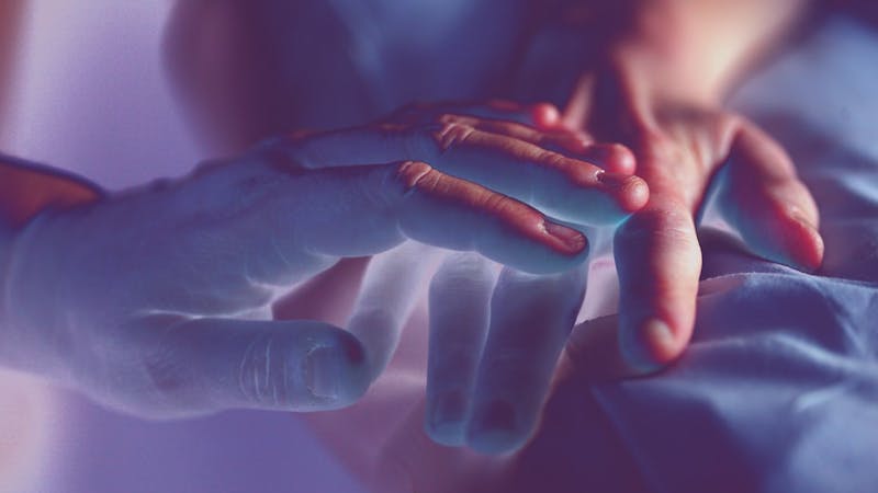 What has death taught you about love?