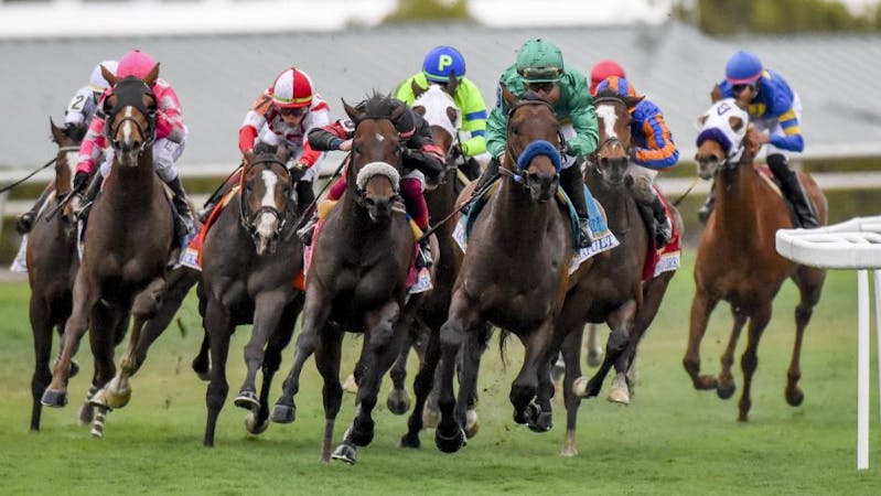 Pegasus World Cup Turf in 2019.