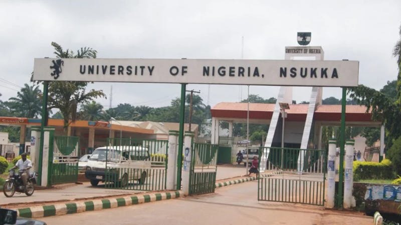 List of courses that is offered by UNN