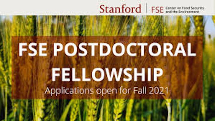 stanford center on food security and environment postdoctoral fellowship 2021