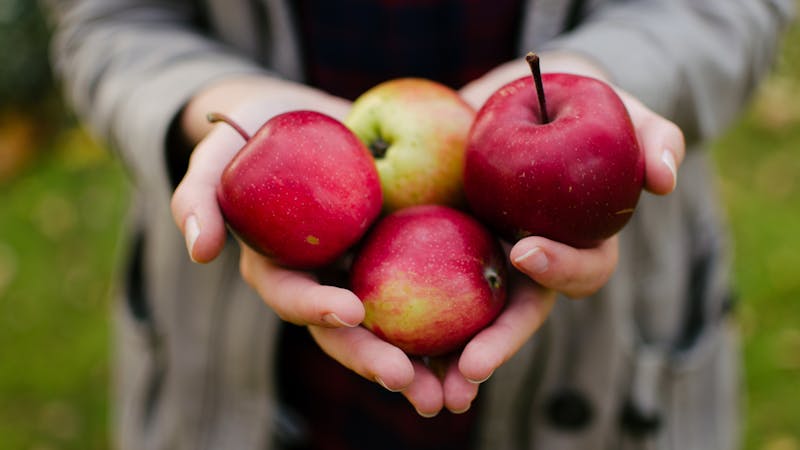 A woman carrying apples
