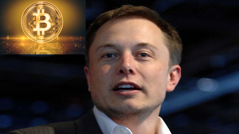 Elon Musk, a disruptive force in the crypto market