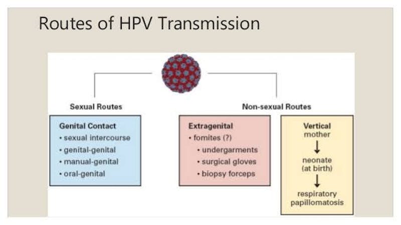 hpv non genital