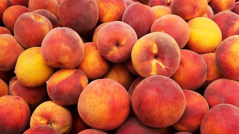 The US Food and Drug Administration while investigating a salmonella outbreak in nine states have linked it to peaches tainted with the salmonella bacteria