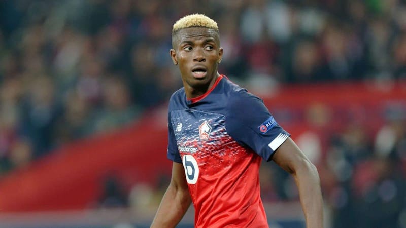 Lille striker Victor Osimhen at during a home match