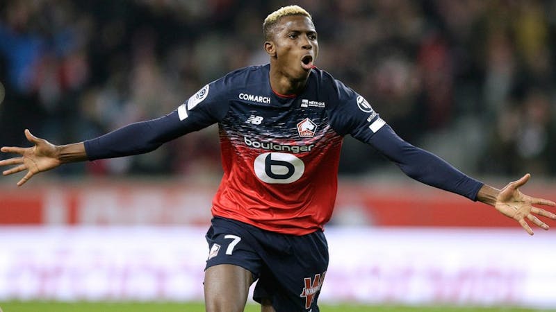 Victor Osimhen celebrates goal in Lille's outfit