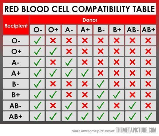 Blood Group Compatibility For Marriage And Blood Donation Clacified