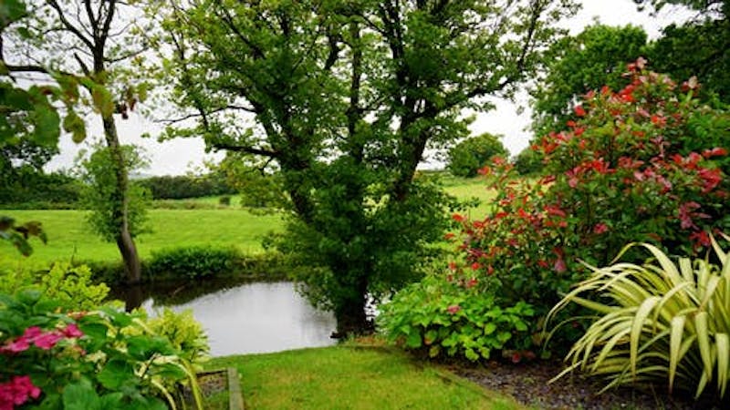 The beauty of nature