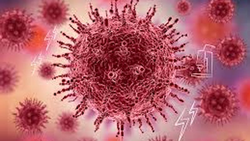 picture of coronavirus