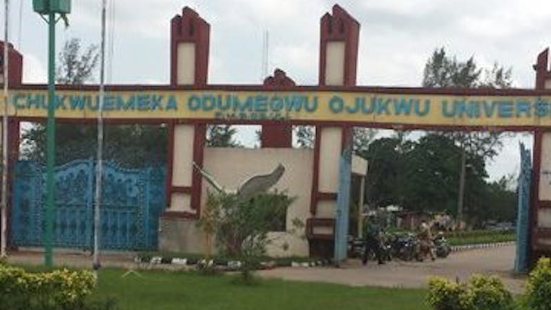 Many lecturers of the Anambra State university - Chukwuemeka Odumegwu Ojukwu University have backed out from the ongoing nationwide strike by the Academic Staff Union of Universities.