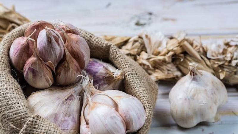 Amazing health benefits of garlic