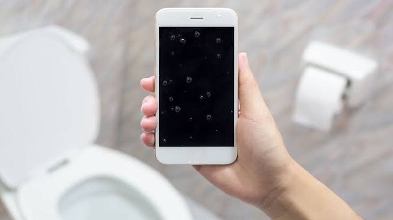 More germs can be found on your mobile phone than on your toilet seat