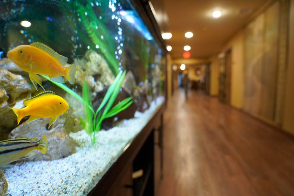 Aquarium Sponsorship