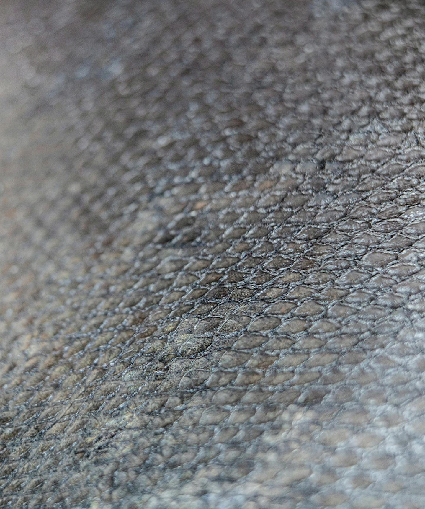 Destinations Clase Azul destinations-clase-azul