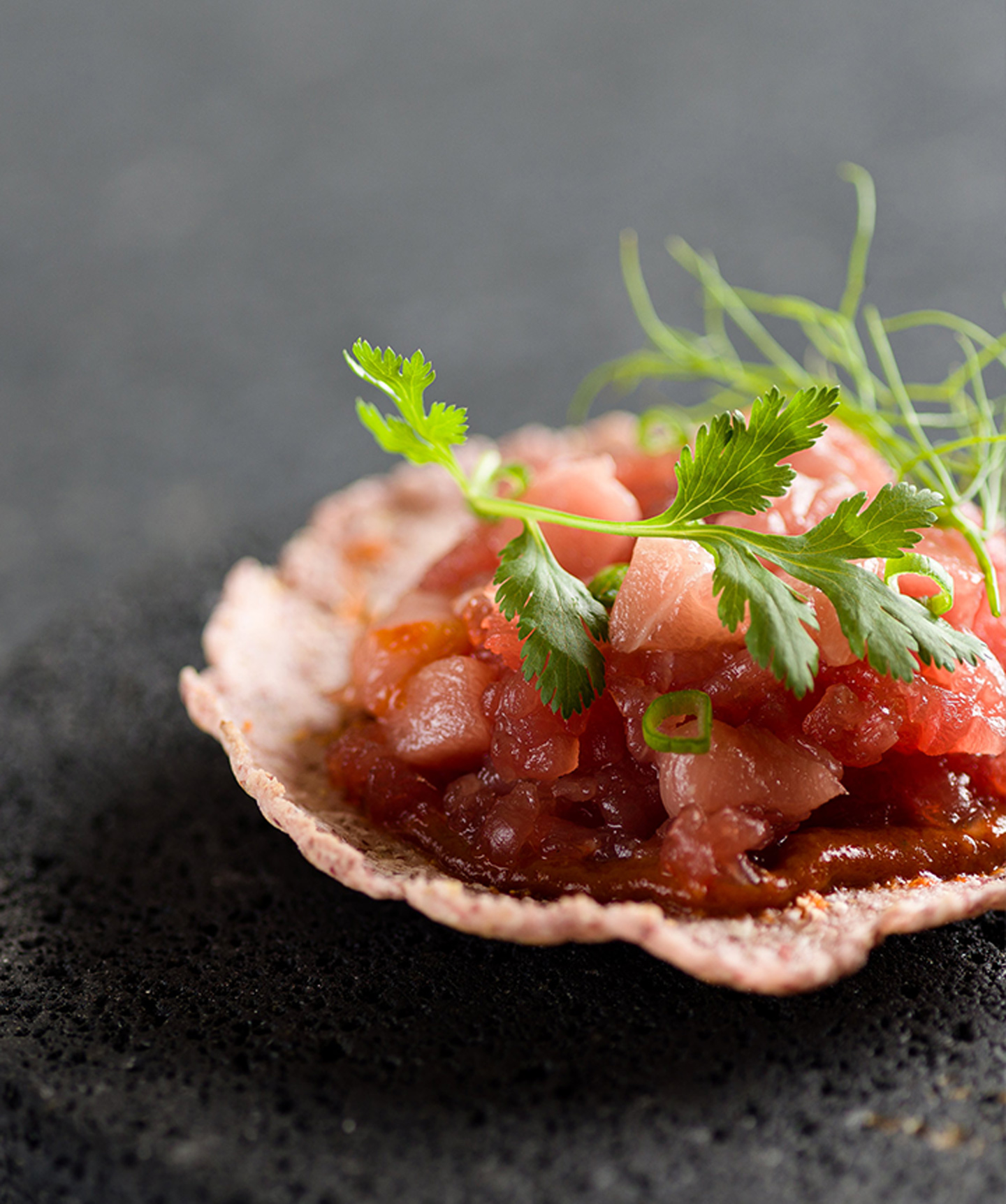 Clase Azul · Destinations