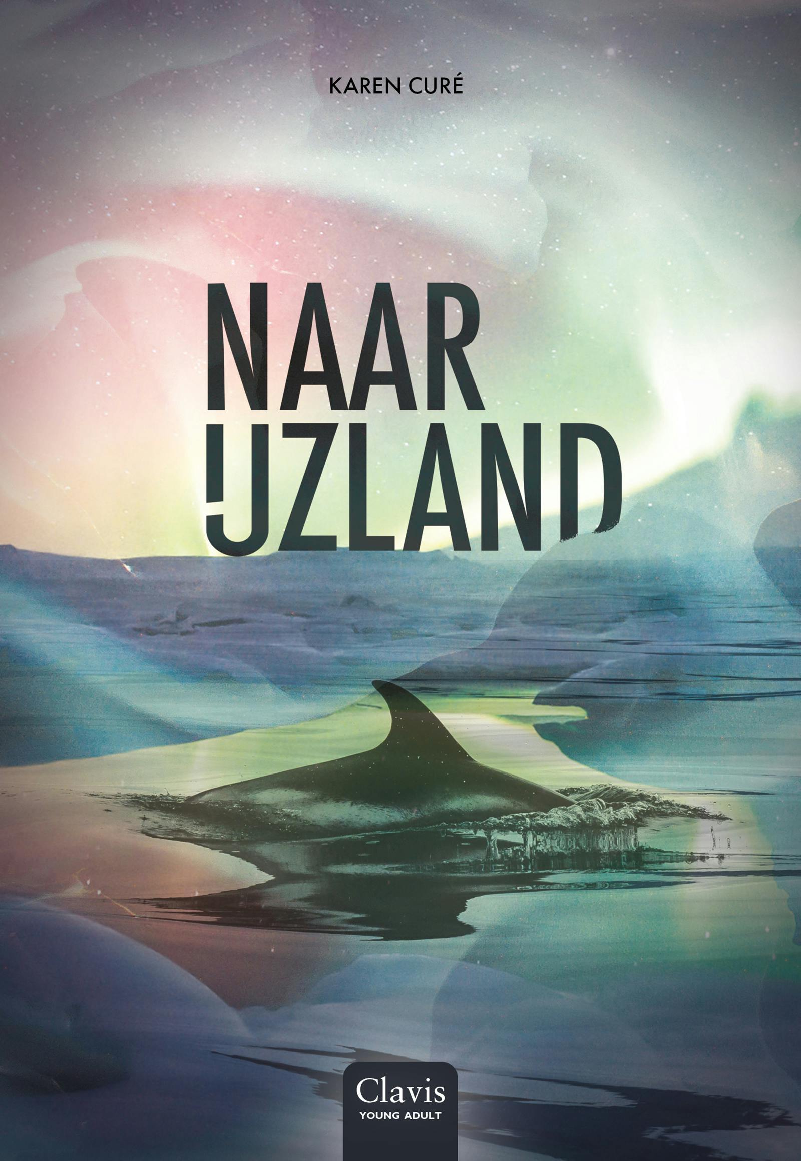 Cover Naar IJzland 
Auteur: Karen Curé
ISBN: 978 90 448 4858 8