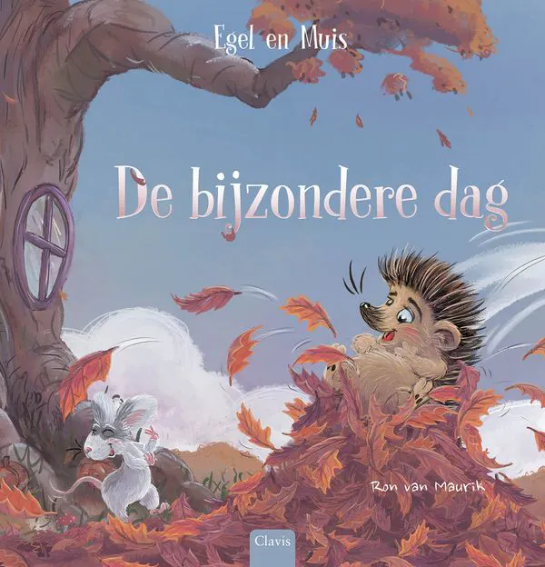 cover de bijzondere dag