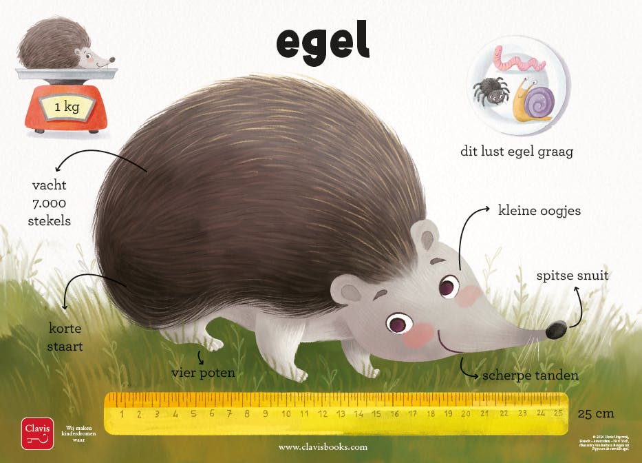 poster egel