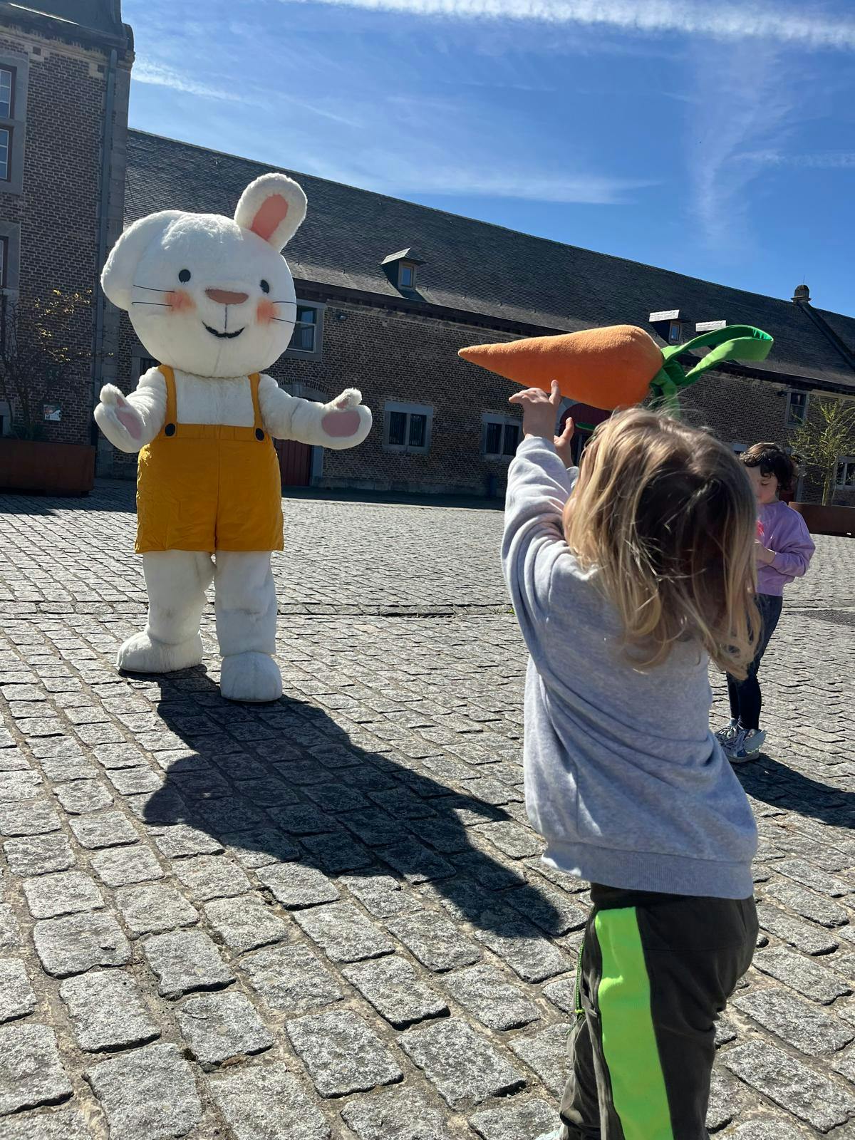 foto van mascottepak van Rikki