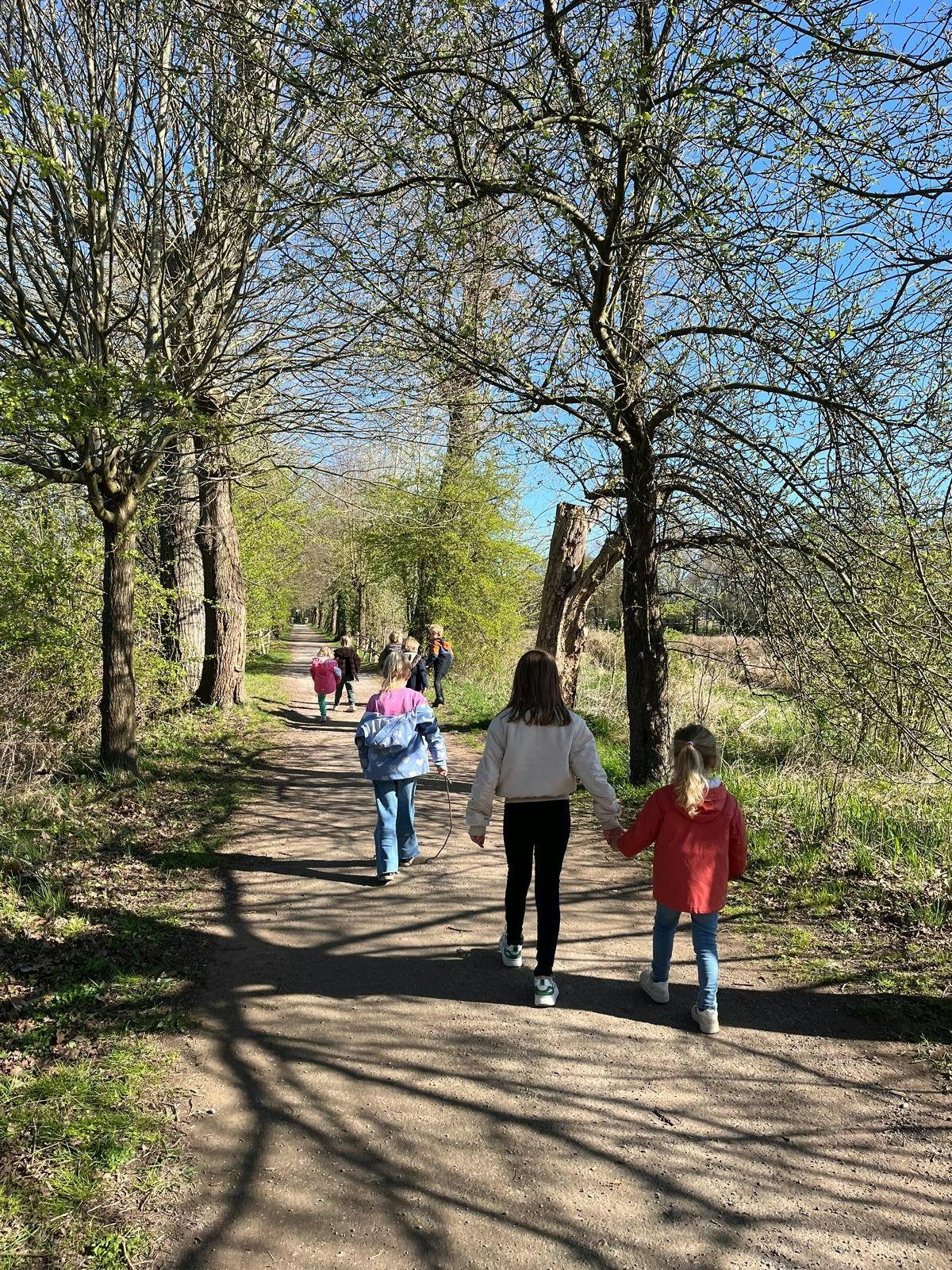 foto van kinderen die in groep wandelen in het bos