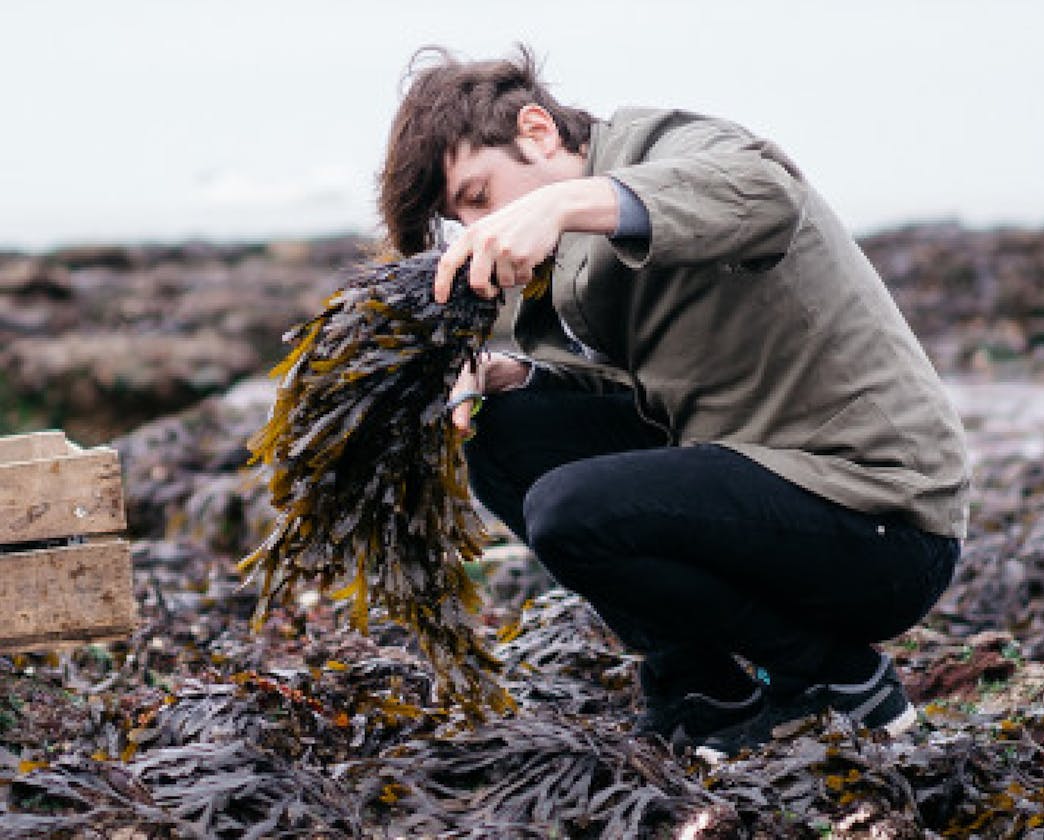 model looking at seaweed