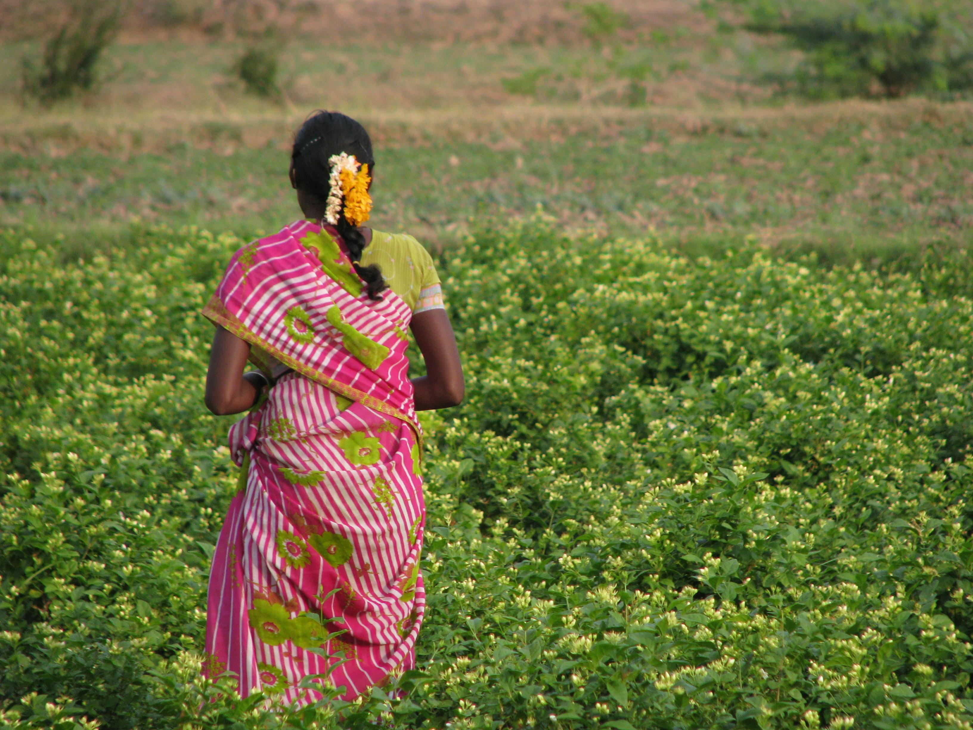 woman walking in field