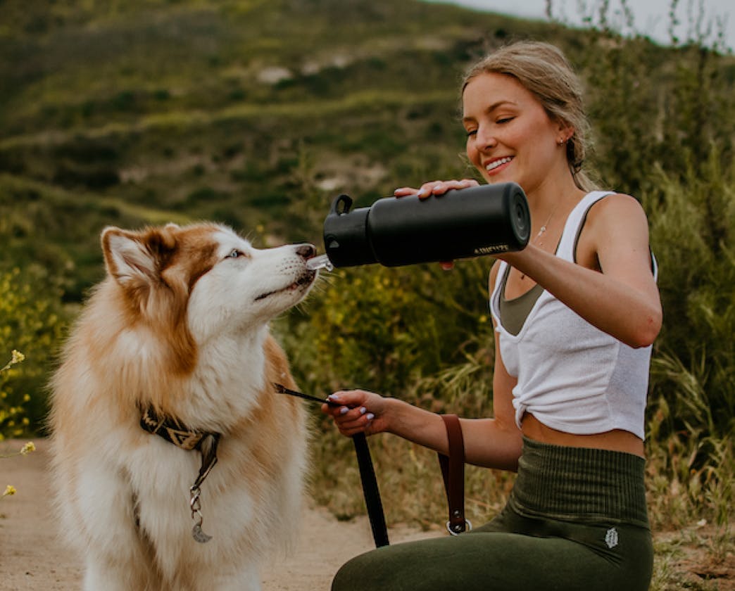 lady giving dog water