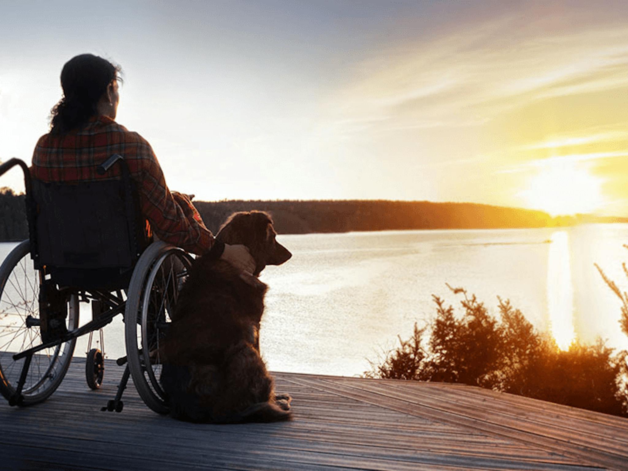 Will Medicare Pay for a Wheelchair? ClearMatch Medicare