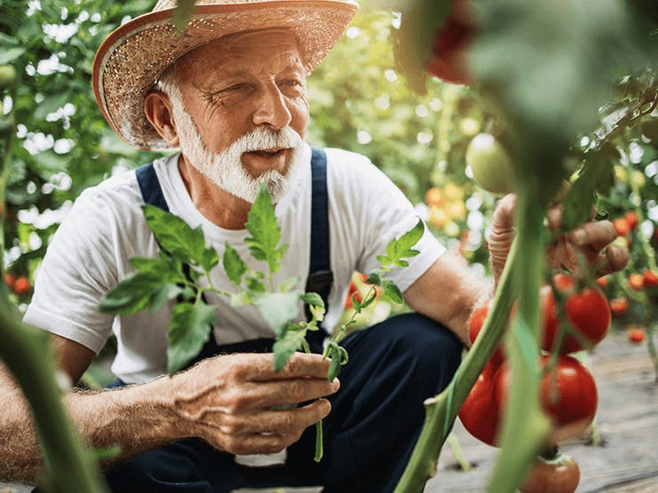 Why Are My Allergies Changing as I Get Older?