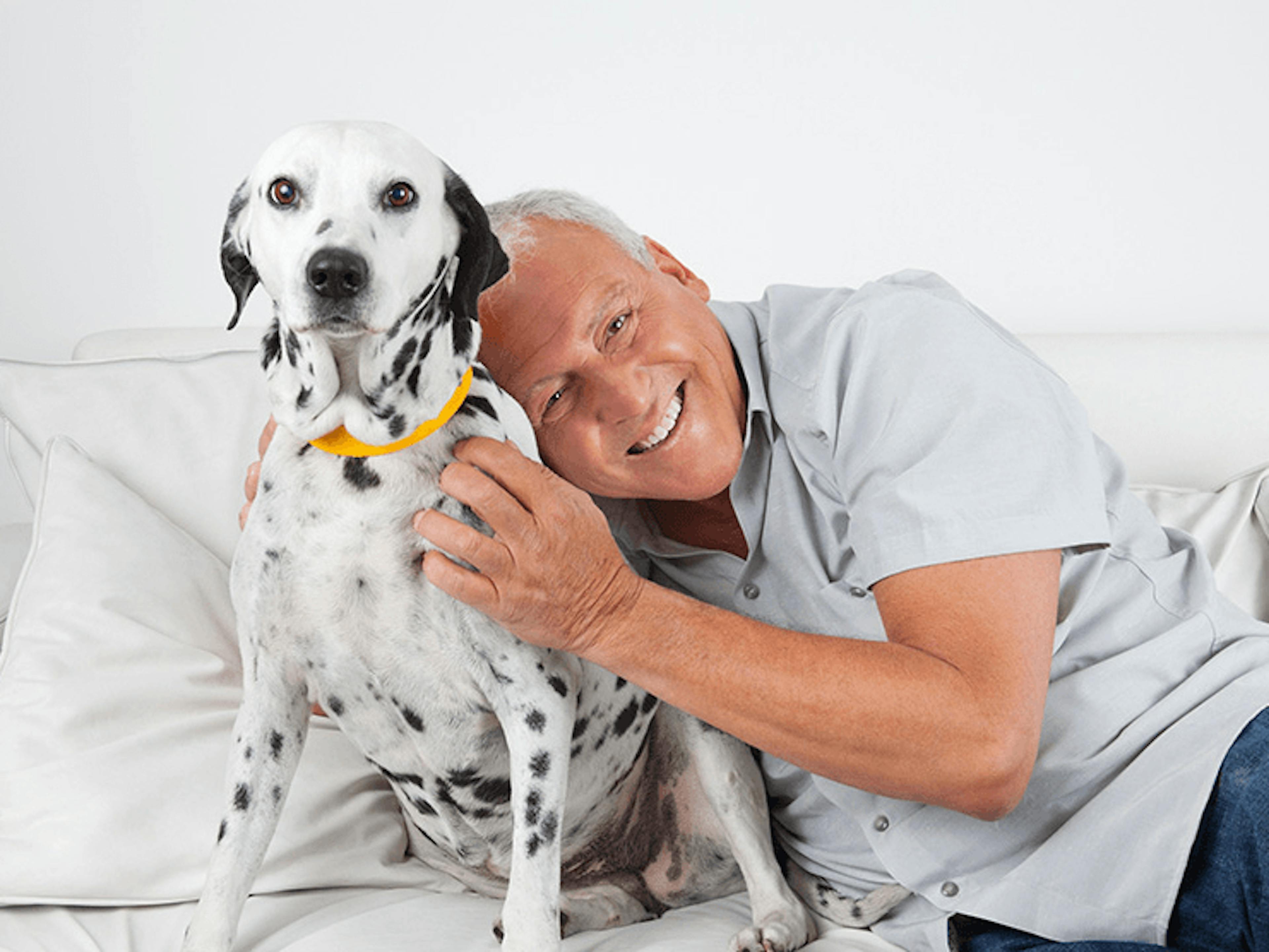 Five reasons to get a pet when you retire