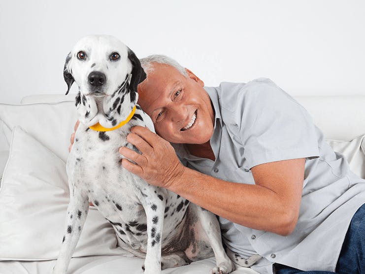 Five reasons to get a pet when you retire