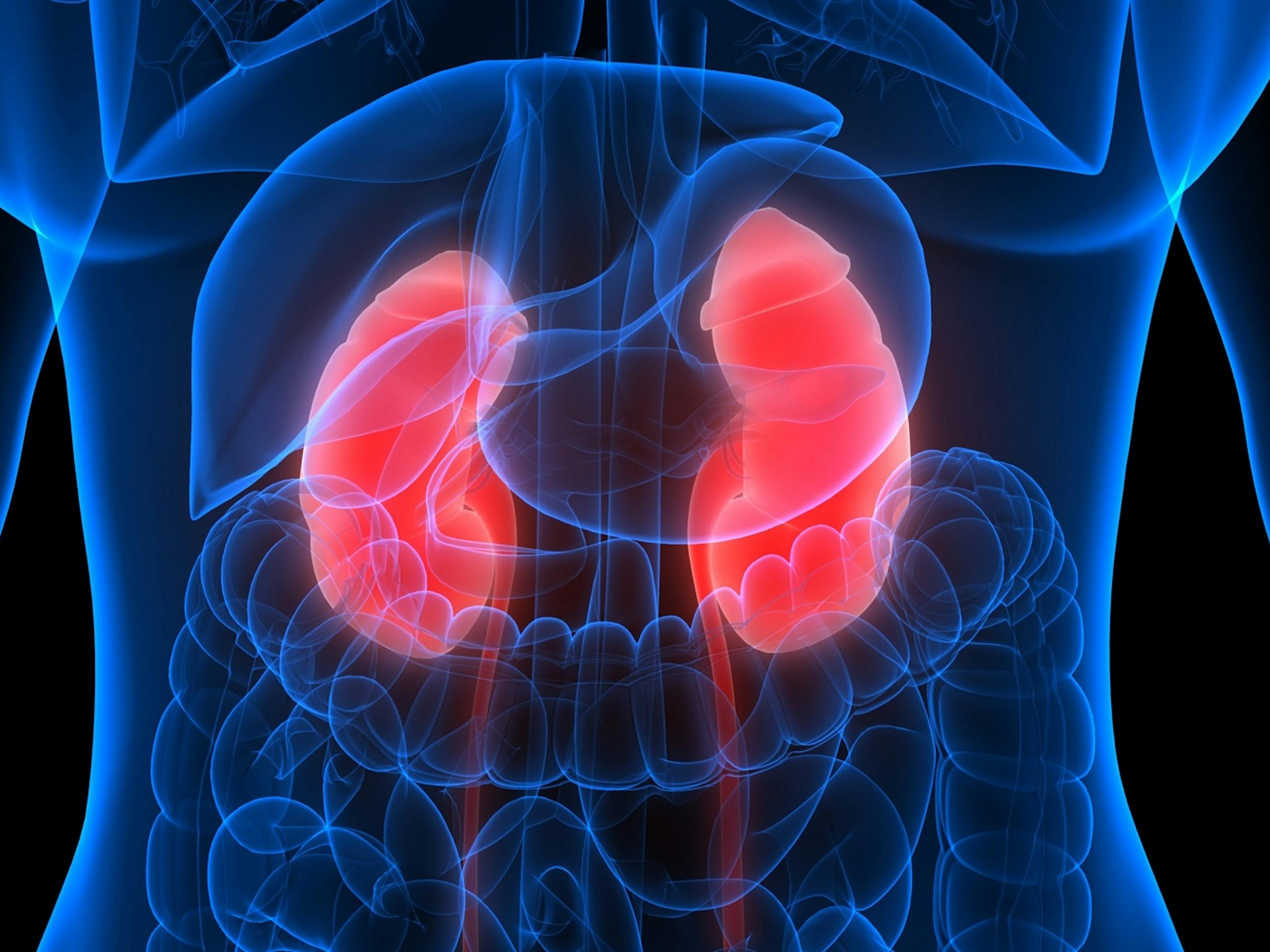9 Tips for Healthy Kidneys