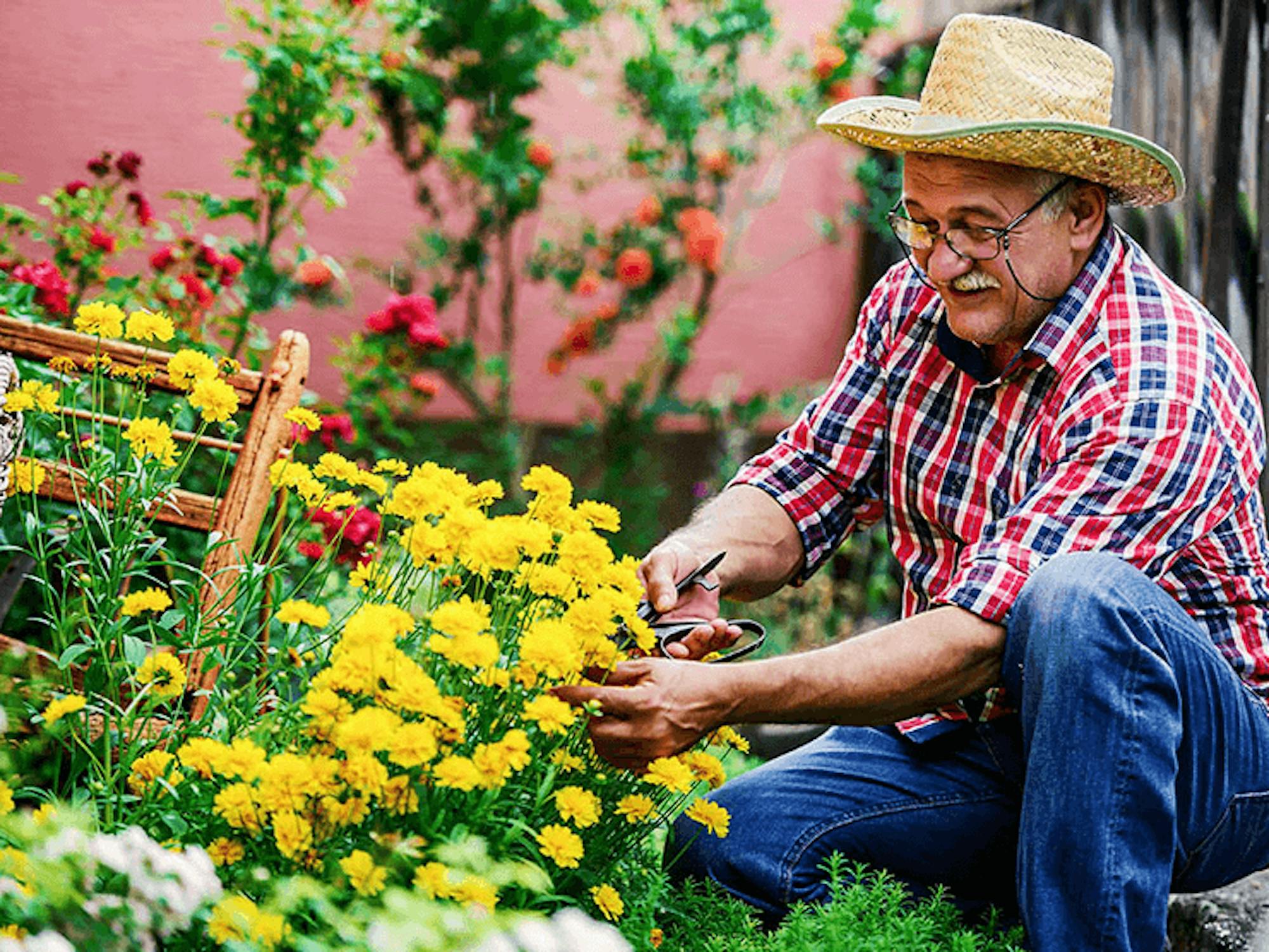 Do You Have To Sign Up For Medicare Every Year ClearMatch Medicare Do You Have To Sign Up For Medicare Every Year ClearMatch Medicare