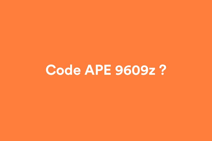 Miniature de l'article Tout savoir sur le code APE 9609z.