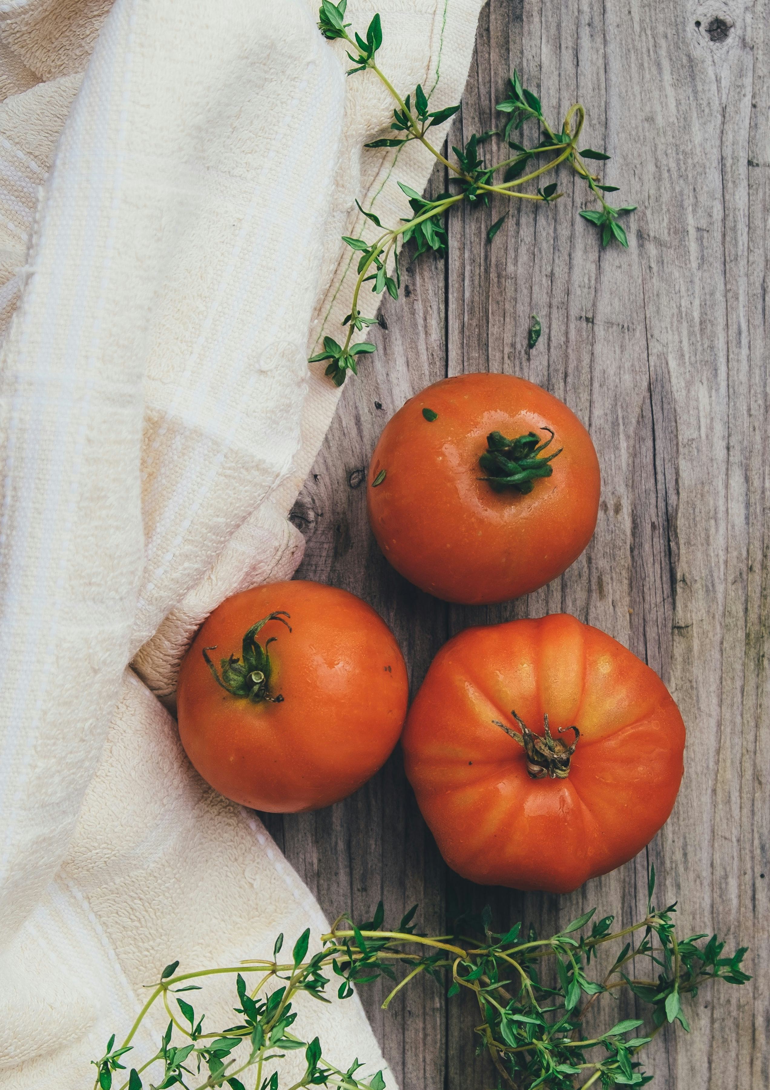 food love essay food love essay