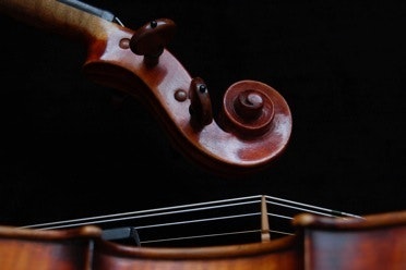 Violin decorative image