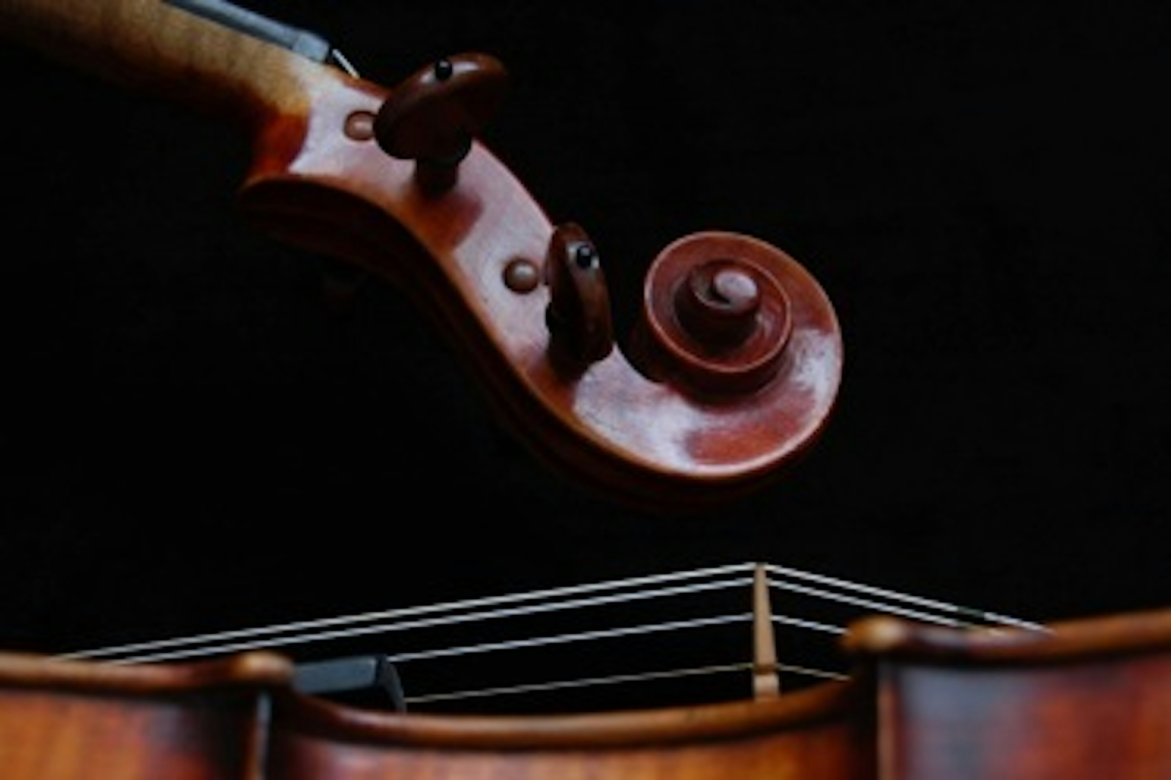 Violin decorative image