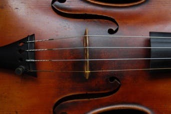 violin top