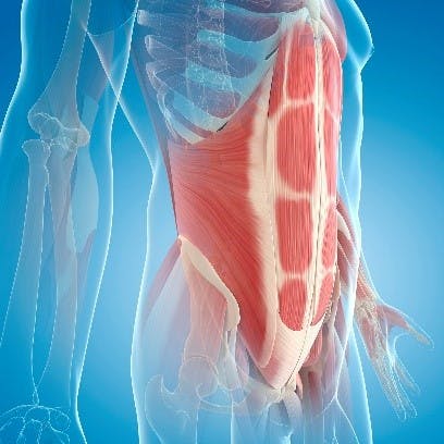 Core