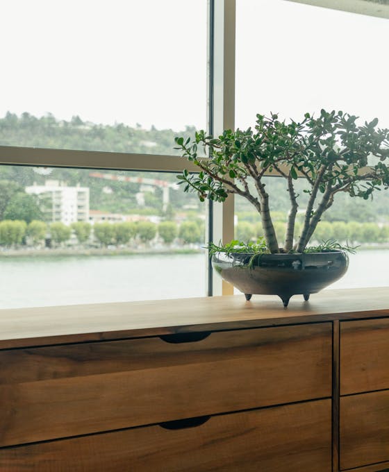 Prendre rendez-vous au CEMF Lyon Vienne