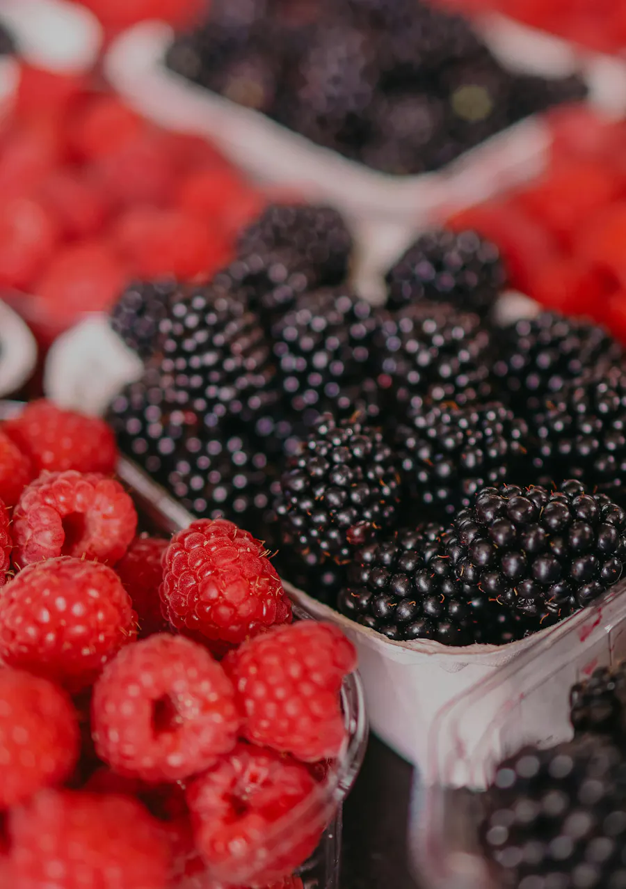 Resvératrol dans les fruits rouges bienfaits sur le corps 