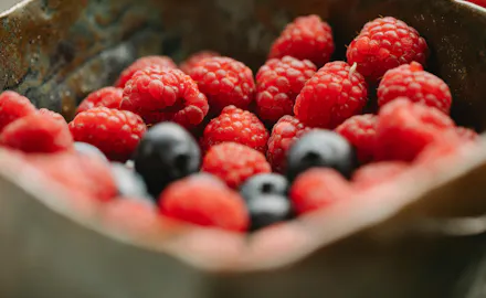 Fruits rouges bienfaits