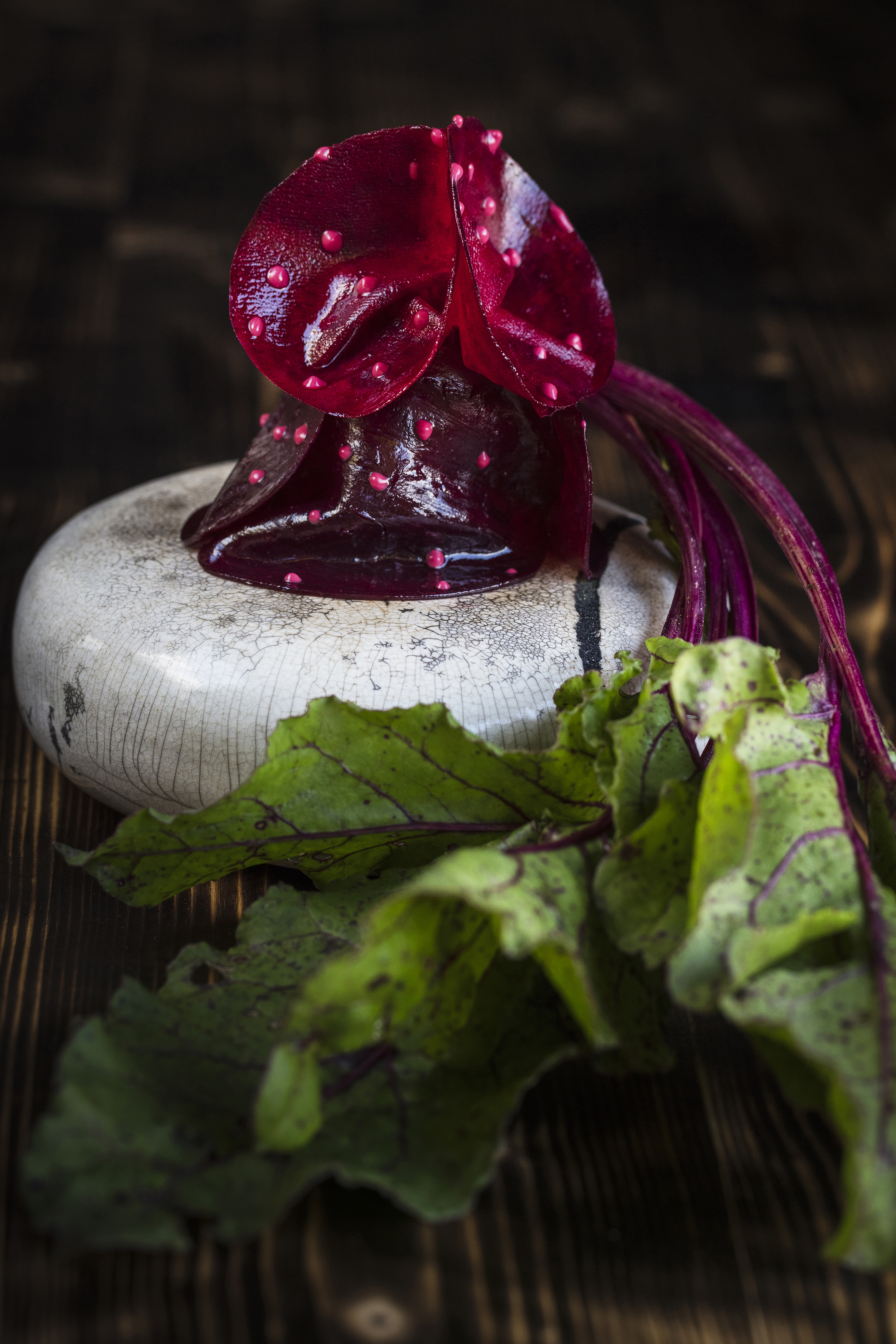 la betterave plissée et sa feuille