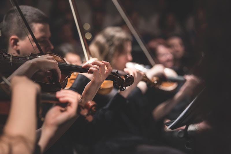 people playing violins