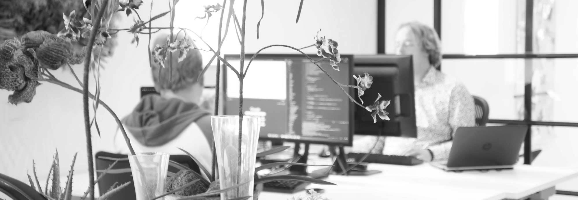 working-people-cloudplusplus