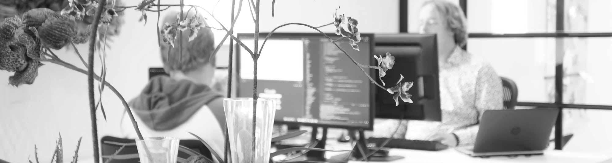 working-people-cloudplusplus