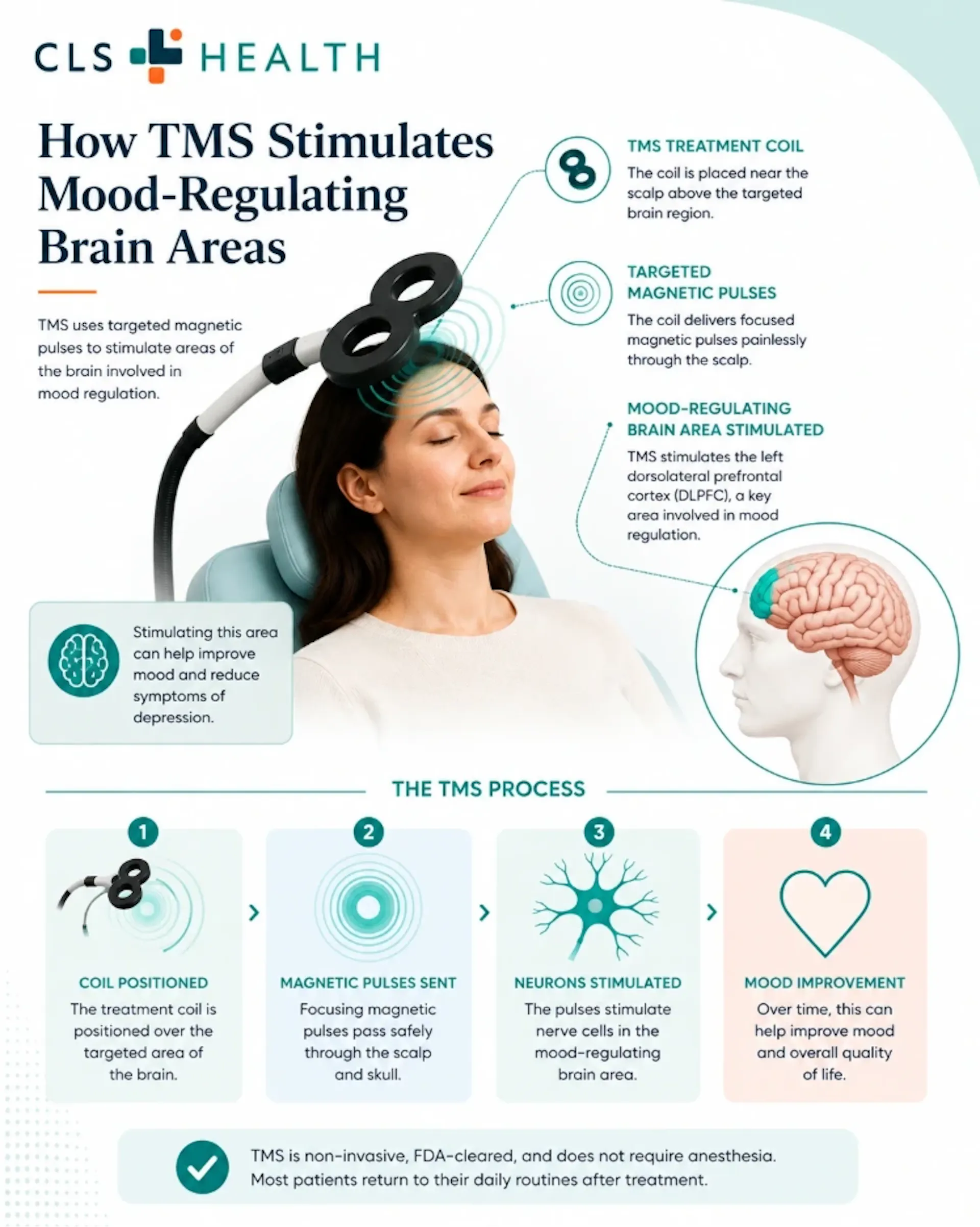 Infographic showing how TMS therapy works. 